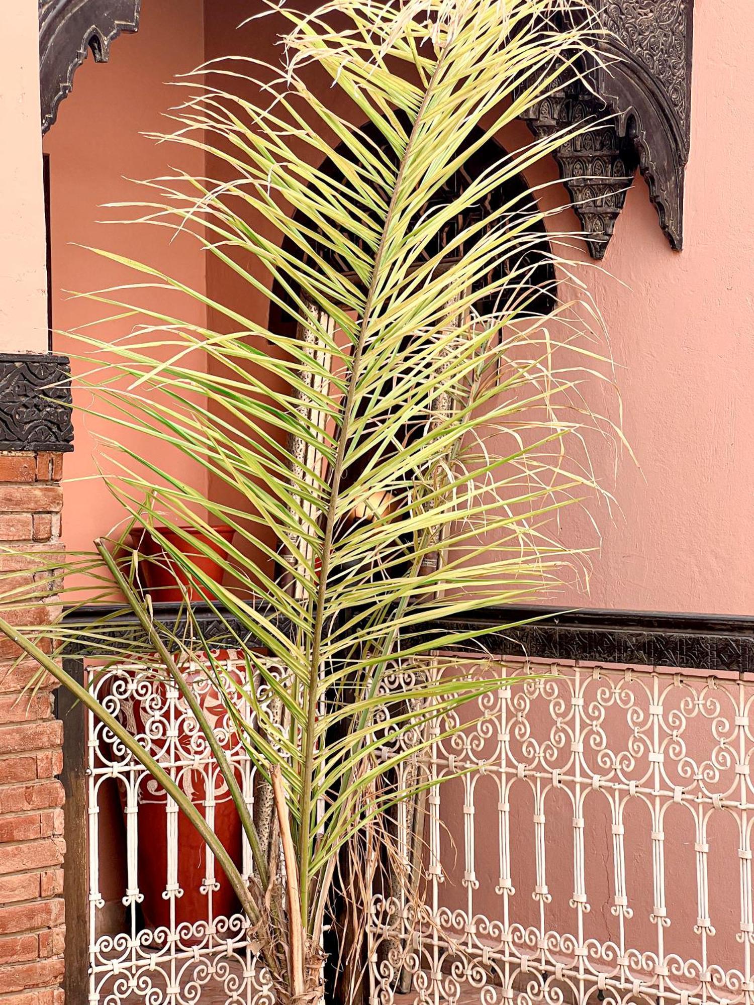 Riad Musa Marrakesh Chambre photo